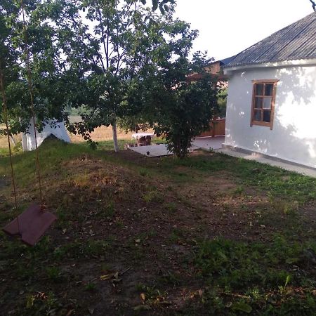 Соколине Гніздо Villa Dmitrenki Bagian luar foto