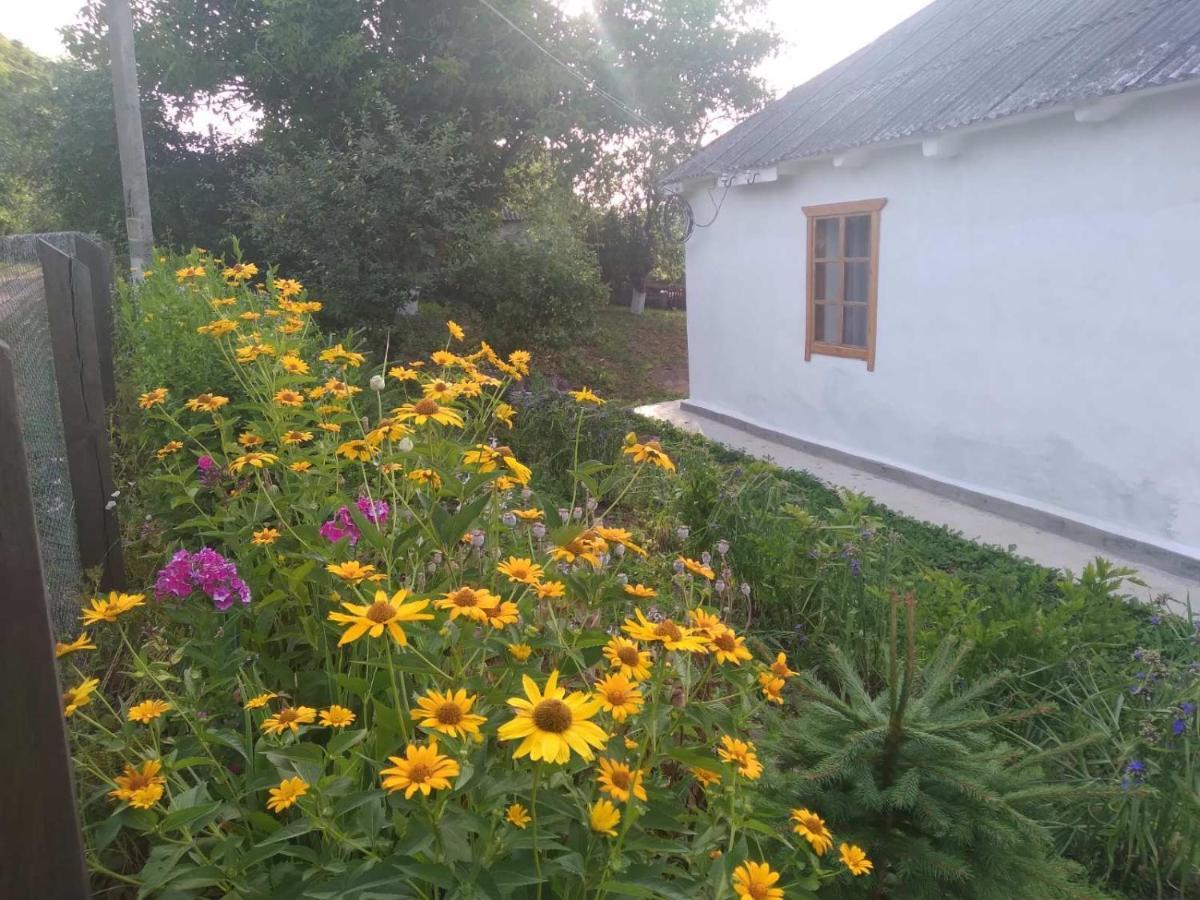 Соколине Гніздо Villa Dmitrenki Bagian luar foto
