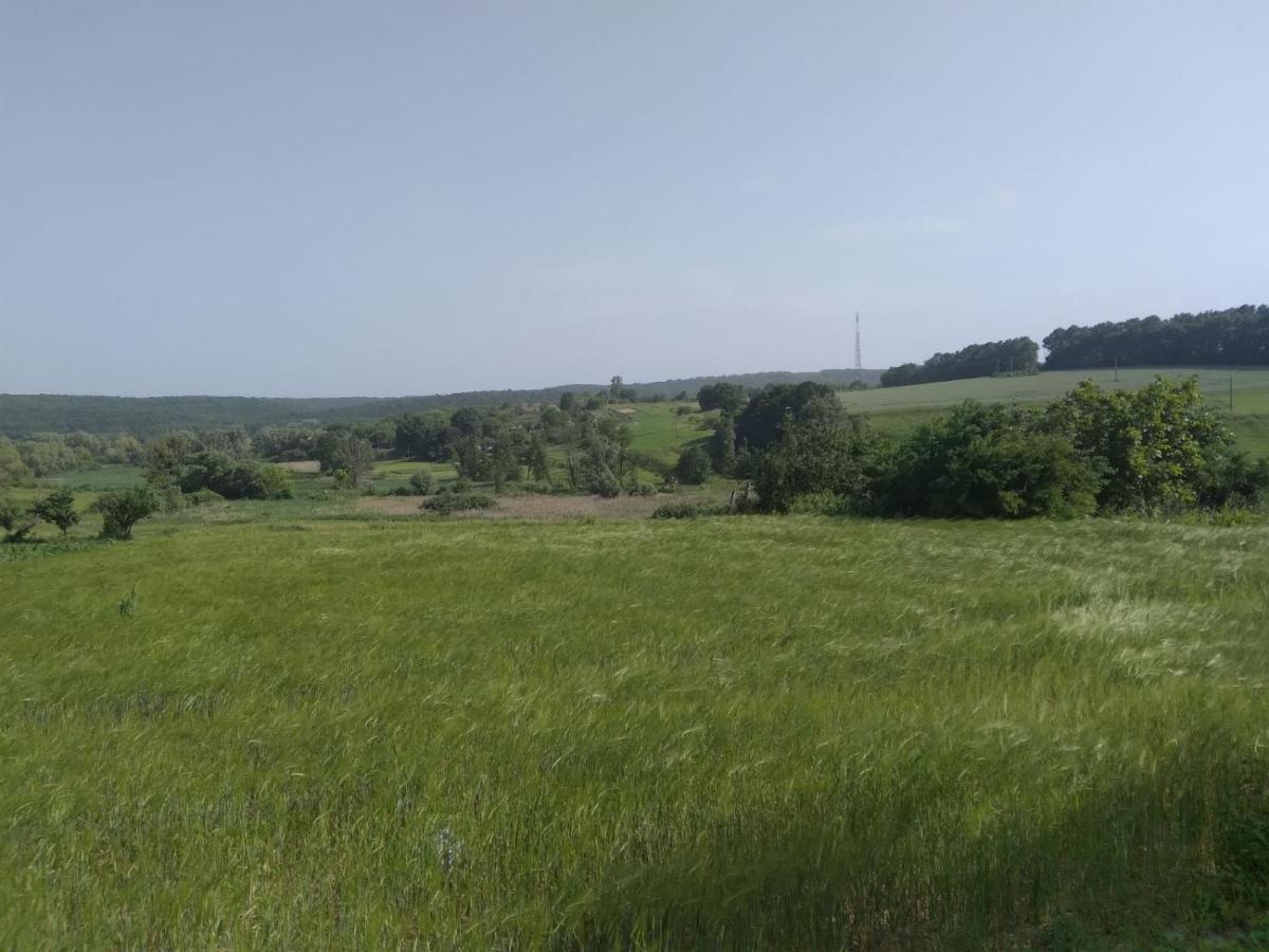 Соколине Гніздо Villa Dmitrenki Bagian luar foto