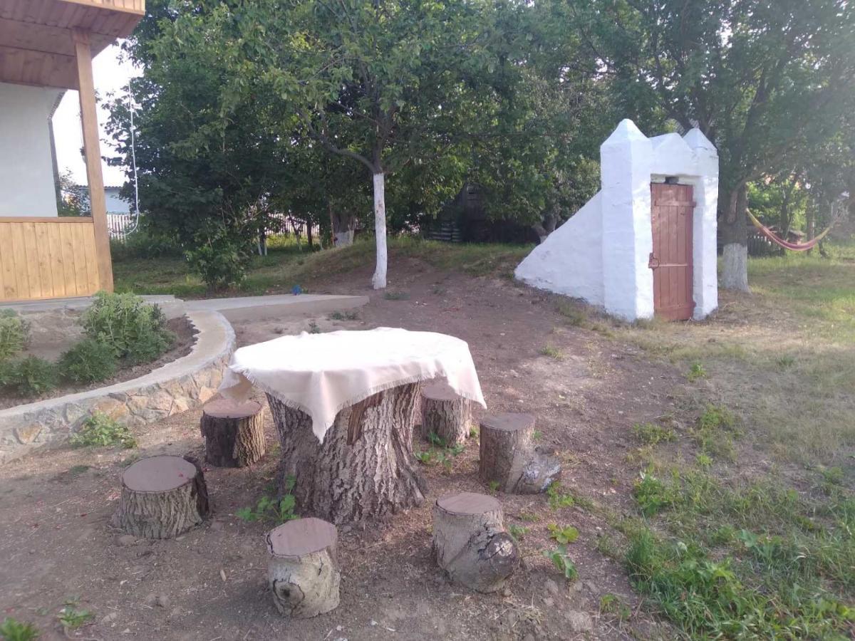 Соколине Гніздо Villa Dmitrenki Bagian luar foto