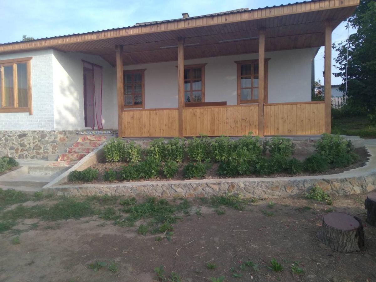Соколине Гніздо Villa Dmitrenki Bagian luar foto