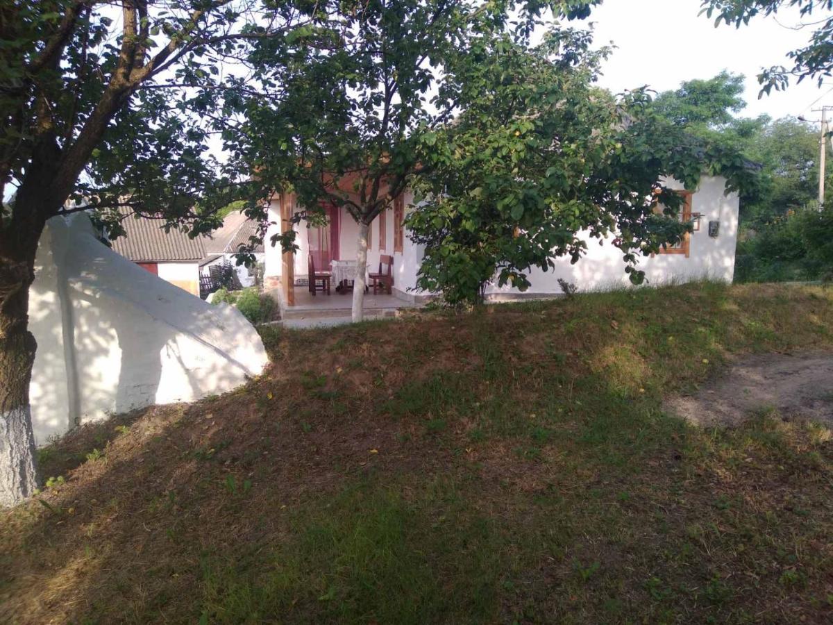 Соколине Гніздо Villa Dmitrenki Bagian luar foto