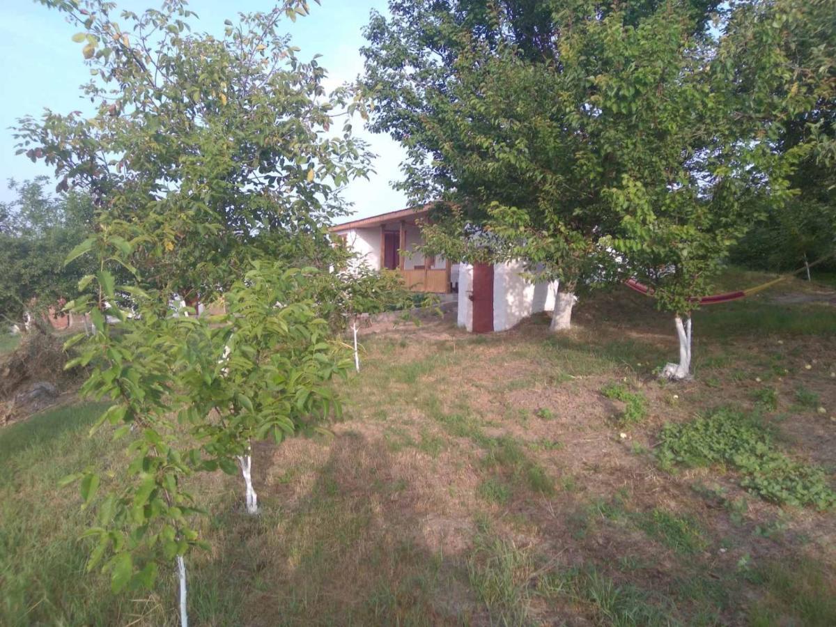 Соколине Гніздо Villa Dmitrenki Bagian luar foto