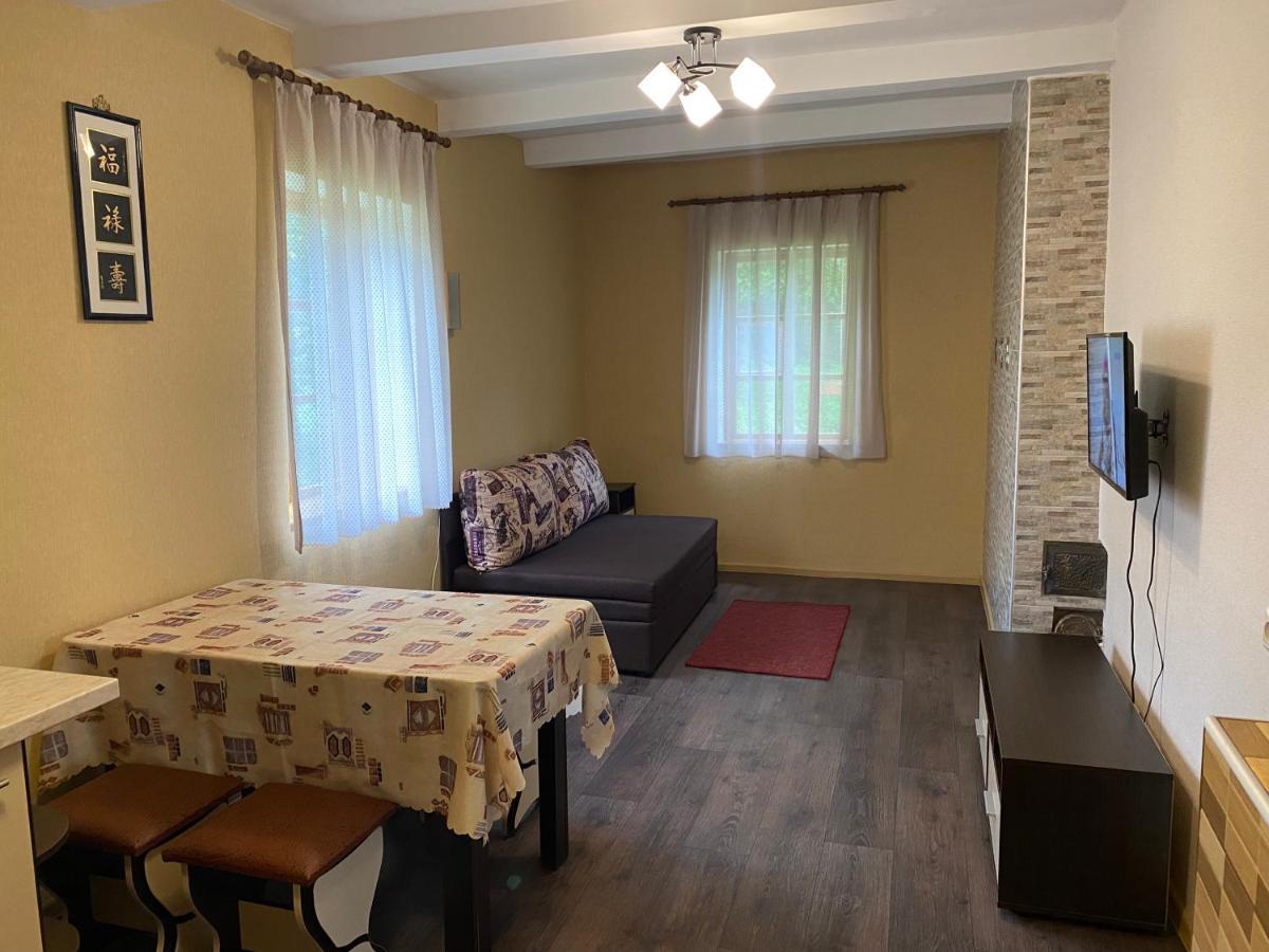 Соколине Гніздо Villa Dmitrenki Bagian luar foto